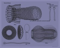 http://www.sonyeoul.com/files/gimgs/th-11_Hardware of Sacred Dome Drawing-Sacred Dome series, 76x97(cm), digital pigment print, 2009.jpg